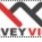 survey villa